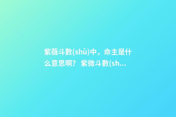 紫薇斗數(shù)中，命主是什么意思啊？ 紫微斗數(shù)在線排盤里的身主和命主怎么看-第1張-觀點(diǎn)-玄機(jī)派